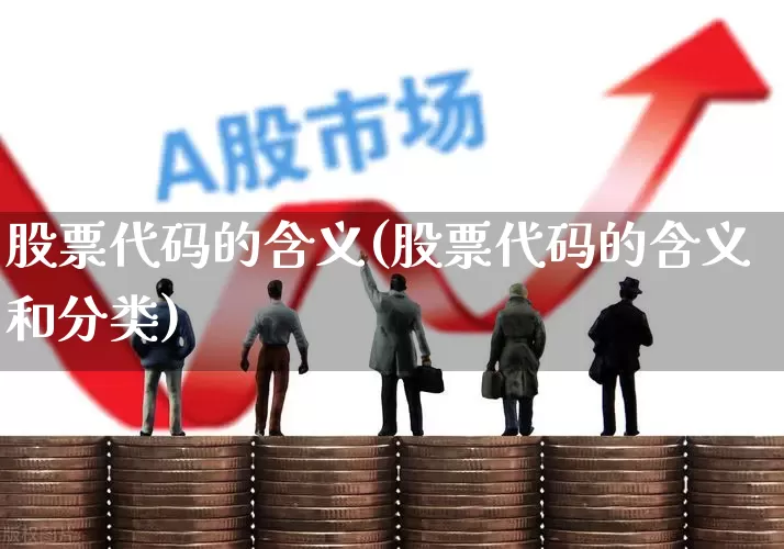 股票代码的含义(股票代码的含义和分类)_https://www.xzdzcjn.com_创业板_第1张
