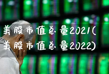 美股市值总量2021(美股市值总量2022)_https://www.xzdzcjn.com_上交所_第1张