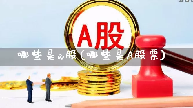 哪些是a股(哪些是A股票)_https://www.xzdzcjn.com_深交所_第1张