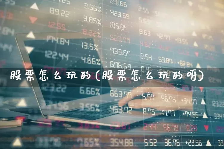 股票怎么玩的(股票怎么玩的呀)_https://www.xzdzcjn.com_北交所_第1张