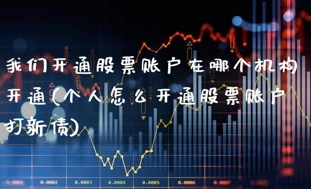 我们开通股票账户在哪个机构开通(个人怎么开通股票账户打新债)_https://www.xzdzcjn.com_深交所_第1张
