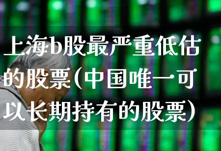 上海b股最严重低估的股票(中国唯一可以长期持有的股票)_https://www.xzdzcjn.com_深交所_第1张