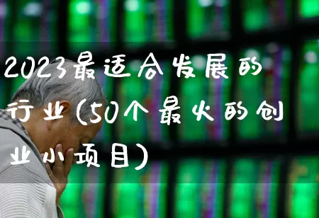 2023最适合发展的行业(50个最火的创业小项目)_https://www.xzdzcjn.com_创业板_第1张