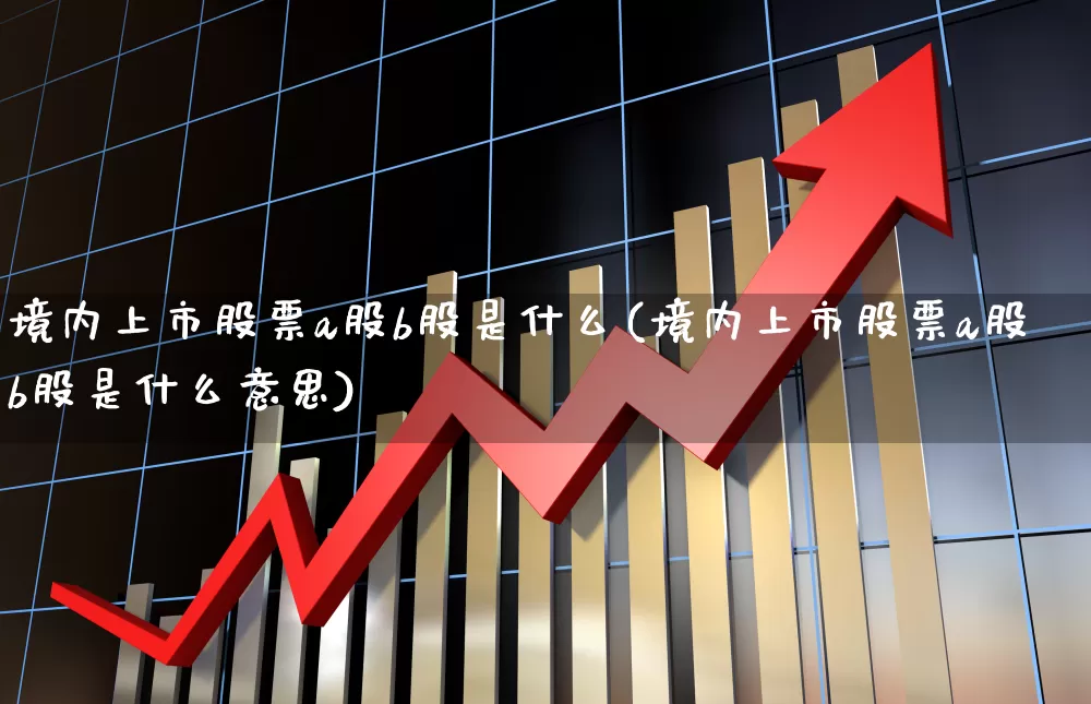 境内上市股票a股b股是什么(境内上市股票a股b股是什么意思)_https://www.xzdzcjn.com_创业板_第1张