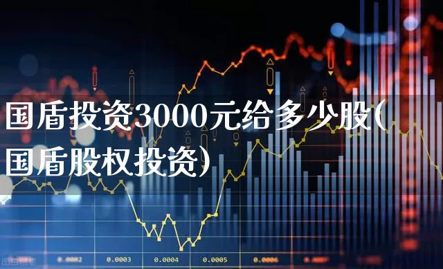 国盾投资3000元给多少股(国盾股权投资)_https://www.xzdzcjn.com_科创板_第1张