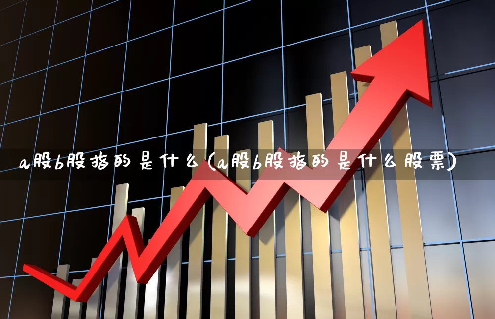 a股b股指的是什么(a股b股指的是什么股票)_https://www.xzdzcjn.com_深交所_第1张