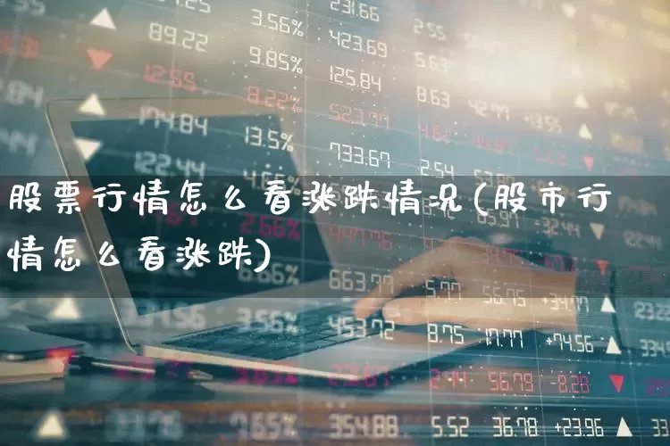 股票行情怎么看涨跌情况(股市行情怎么看涨跌)_https://www.xzdzcjn.com_北交所_第1张
