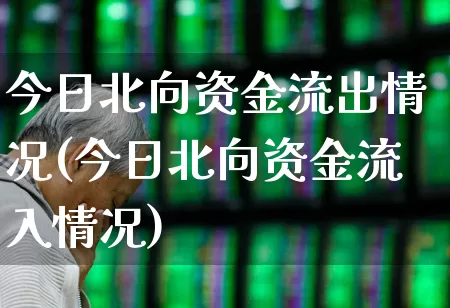 今日北向资金流出情况(今日北向资金流入情况)_https://www.xzdzcjn.com_科创板_第1张