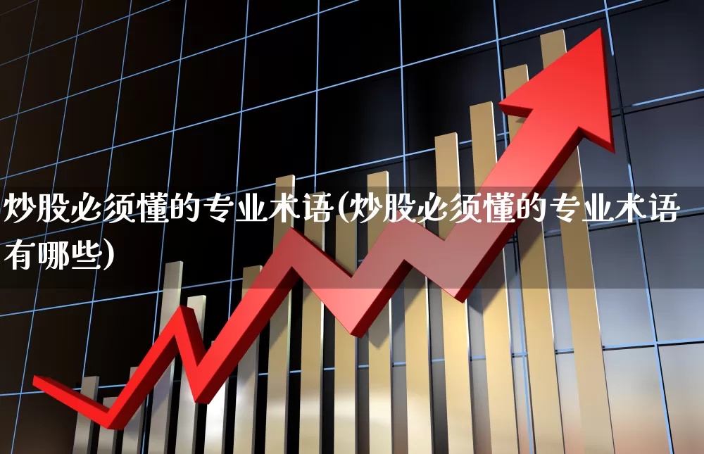 炒股必须懂的专业术语(炒股必须懂的专业术语有哪些)_https://www.xzdzcjn.com_深交所_第1张