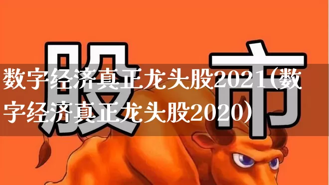 数字经济真正龙头股2021(数字经济真正龙头股2020)_https://www.xzdzcjn.com_上交所_第1张