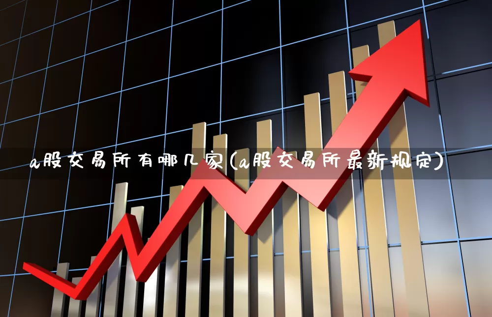 a股交易所有哪几家(a股交易所最新规定)_https://www.xzdzcjn.com_科创板_第1张