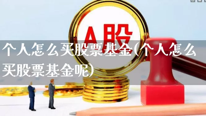 个人怎么买股票基金(个人怎么买股票基金呢)_https://www.xzdzcjn.com_科创板_第1张