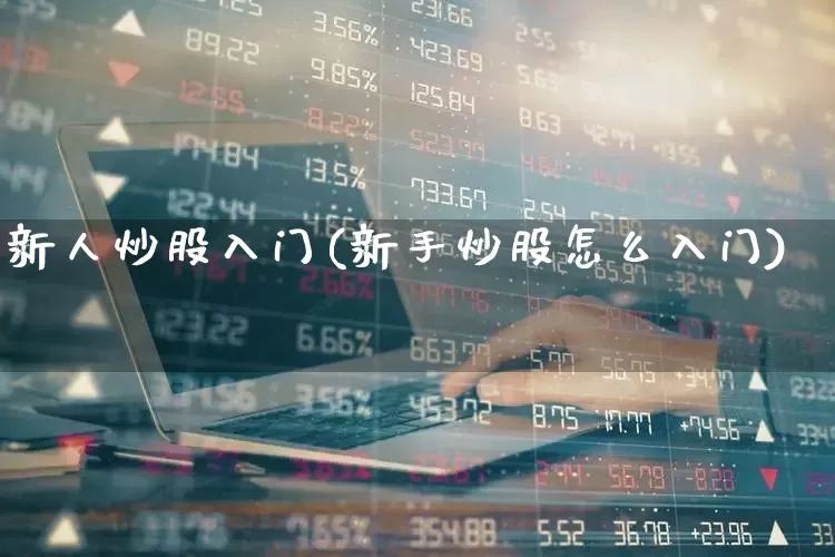 新人炒股入门(新手炒股怎么入门)_https://www.xzdzcjn.com_深交所_第1张