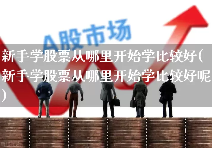 新手学股票从哪里开始学比较好(新手学股票从哪里开始学比较好呢)_https://www.xzdzcjn.com_创业板_第1张