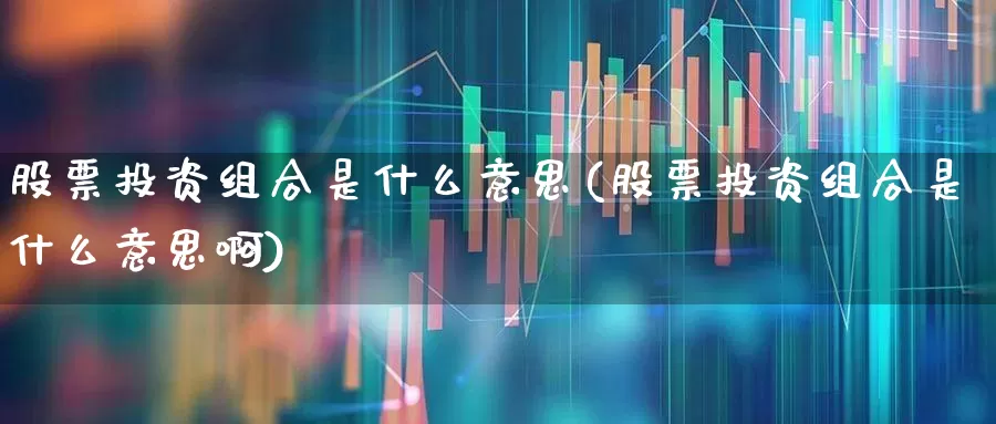 股票投资组合是什么意思(股票投资组合是什么意思啊)_https://www.xzdzcjn.com_北交所_第1张