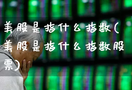 美股是指什么指数(美股是指什么指数股票)_https://www.xzdzcjn.com_深交所_第1张
