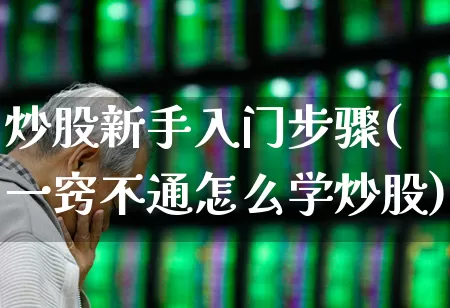 炒股新手入门步骤(一窍不通怎么学炒股)_https://www.xzdzcjn.com_北交所_第1张