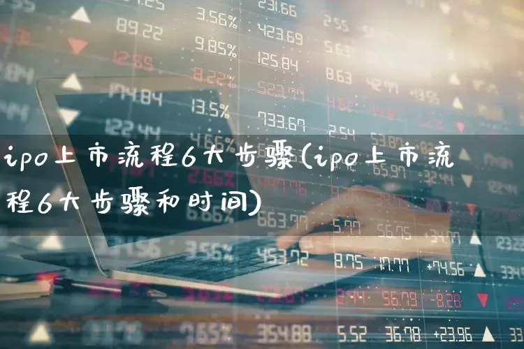 ipo上市流程6大步骤(ipo上市流程6大步骤和时间)_https://www.xzdzcjn.com_深交所_第1张