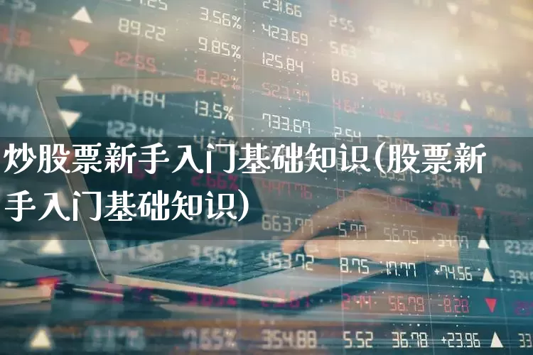 炒股票新手入门基础知识(股票新手入门基础知识)_https://www.xzdzcjn.com_创业板_第1张