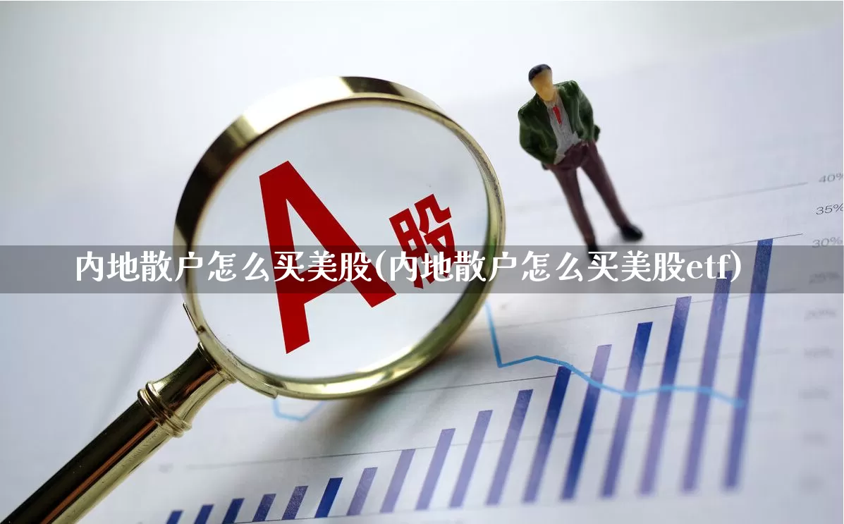 内地散户怎么买美股(内地散户怎么买美股etf)_https://www.xzdzcjn.com_创业板_第1张