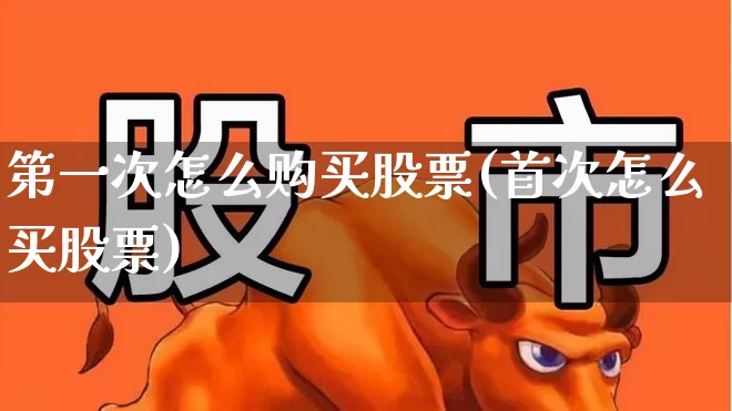第一次怎么购买股票(首次怎么买股票)_https://www.xzdzcjn.com_北交所_第1张