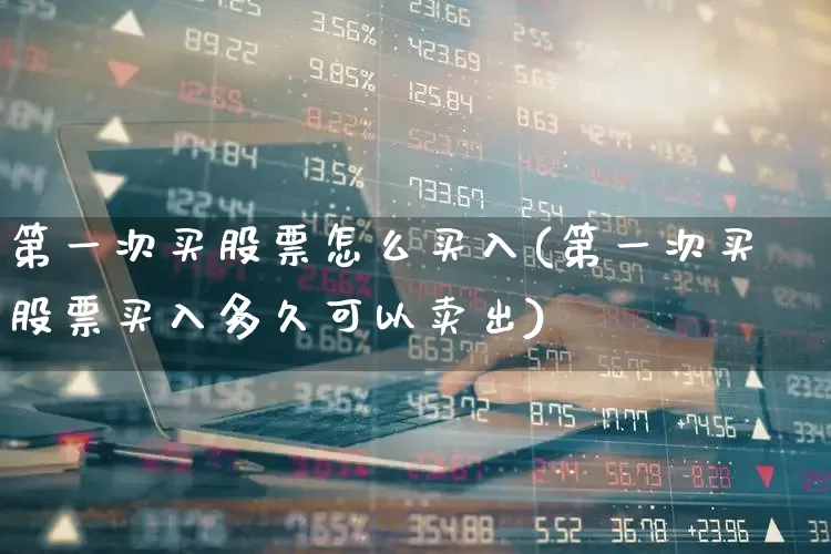 第一次买股票怎么买入(第一次买股票买入多久可以卖出)_https://www.xzdzcjn.com_创业板_第1张
