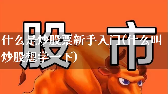 什么是炒股票新手入门(什么叫炒股想学一下)_https://www.xzdzcjn.com_深交所_第1张