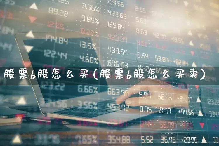 股票b股怎么买(股票b股怎么买卖)_https://www.xzdzcjn.com_深交所_第1张