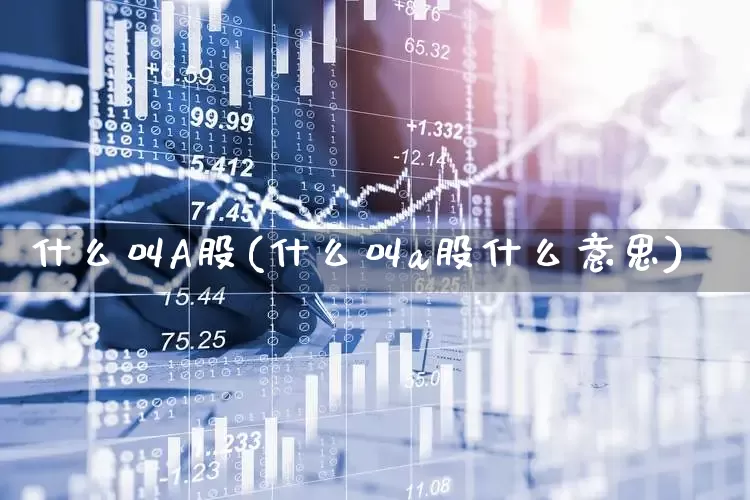 什么叫A股(什么叫a股什么意思)_https://www.xzdzcjn.com_深交所_第1张
