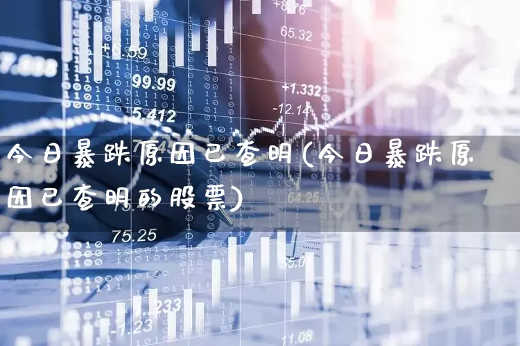 今日暴跌原因已查明(今日暴跌原因已查明的股票)_https://www.xzdzcjn.com_上交所_第1张