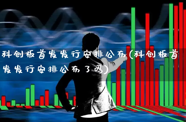 科创板首发发行安排公布(科创板首发发行安排公布了吗)_https://www.xzdzcjn.com_上交所_第1张