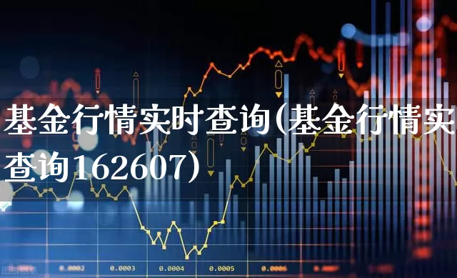 基金行情实时查询(基金行情实时查询162607)_https://www.xzdzcjn.com_北交所_第1张