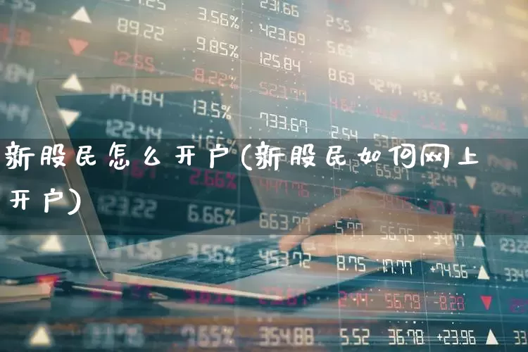 新股民怎么开户(新股民如何网上开户)_https://www.xzdzcjn.com_深交所_第1张