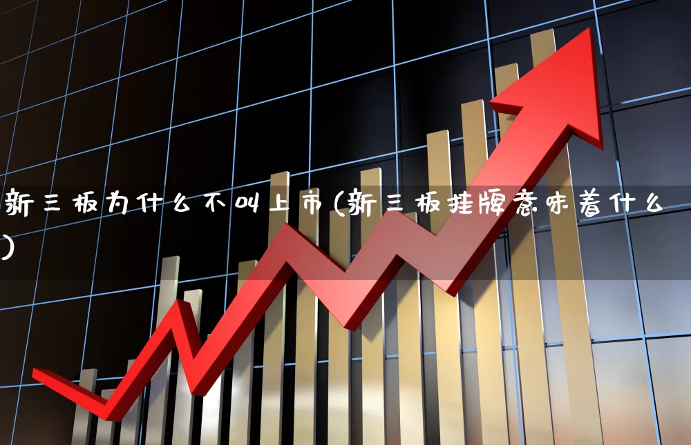 新三板为什么不叫上市(新三板挂牌意味着什么)_https://www.xzdzcjn.com_深交所_第1张