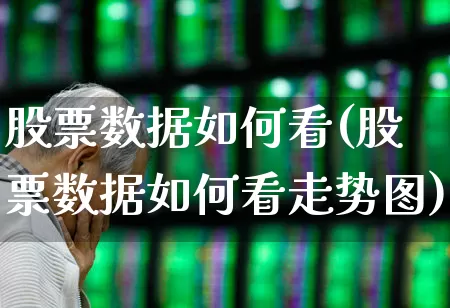 股票数据如何看(股票数据如何看走势图)_https://www.xzdzcjn.com_上交所_第1张