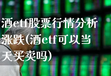 酒etf股票行情分析涨跌(酒etf可以当天买卖吗)_https://www.xzdzcjn.com_上交所_第1张
