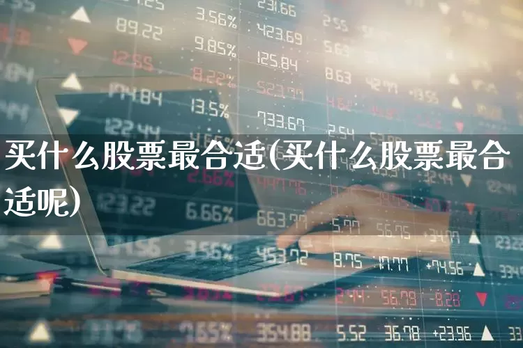 买什么股票最合适(买什么股票最合适呢)_https://www.xzdzcjn.com_科创板_第1张