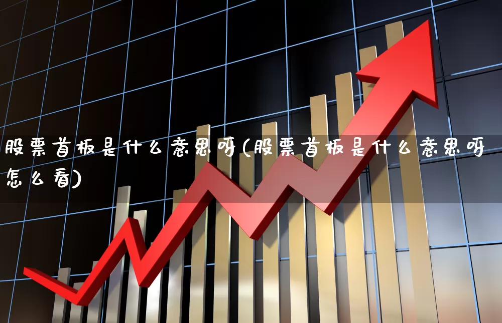 股票首板是什么意思呀(股票首板是什么意思呀怎么看)_https://www.xzdzcjn.com_科创板_第1张