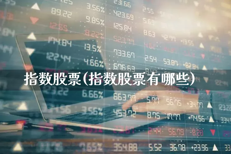 指数股票(指数股票有哪些)_https://www.xzdzcjn.com_创业板_第1张