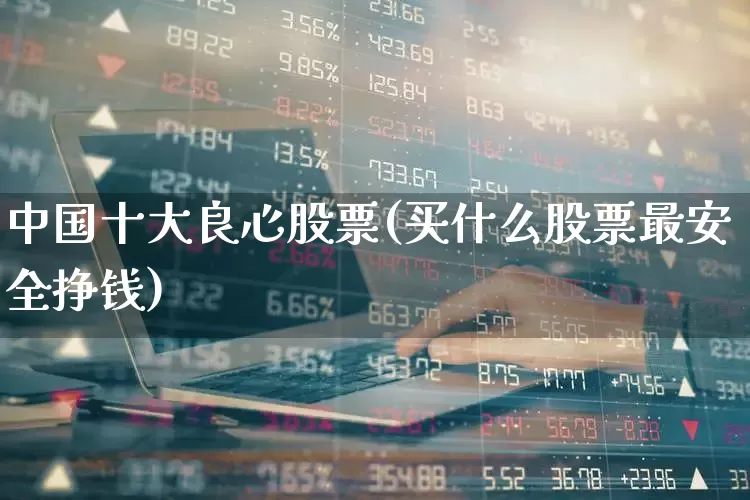 中国十大良心股票(买什么股票最安全挣钱)_https://www.xzdzcjn.com_科创板_第1张