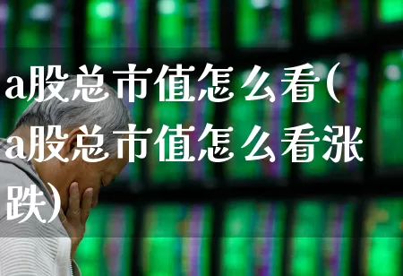 a股总市值怎么看(a股总市值怎么看涨跌)_https://www.xzdzcjn.com_深交所_第1张