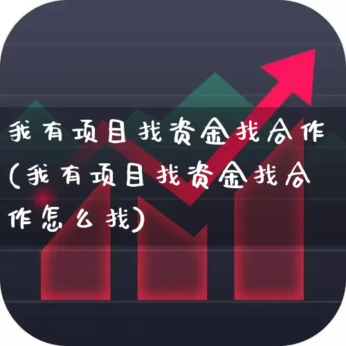 我有项目找资金找合作(我有项目找资金找合作怎么找)_https://www.xzdzcjn.com_上交所_第1张