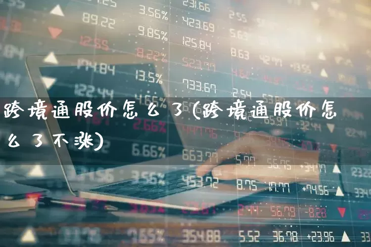 跨境通股价怎么了(跨境通股价怎么了不涨)_https://www.xzdzcjn.com_上交所_第1张