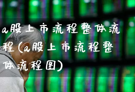 a股上市流程整体流程(a股上市流程整体流程图)_https://www.xzdzcjn.com_深交所_第1张