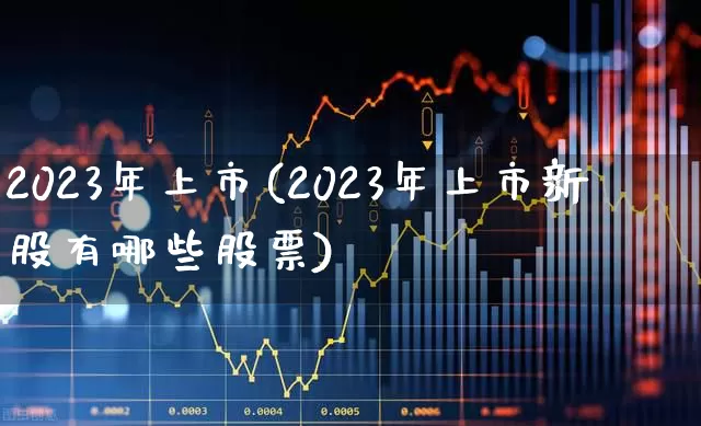2023年上市(2023年上市新股有哪些股票)_https://www.xzdzcjn.com_科创板_第1张