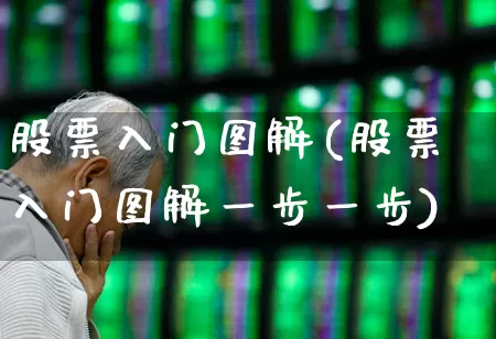 股票入门图解(股票入门图解一步一步)_https://www.xzdzcjn.com_北交所_第1张