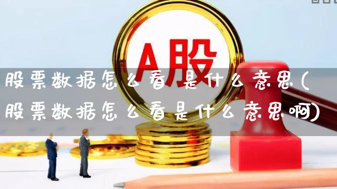 股票数据怎么看 是什么意思(股票数据怎么看是什么意思啊)_https://www.xzdzcjn.com_科创板_第1张