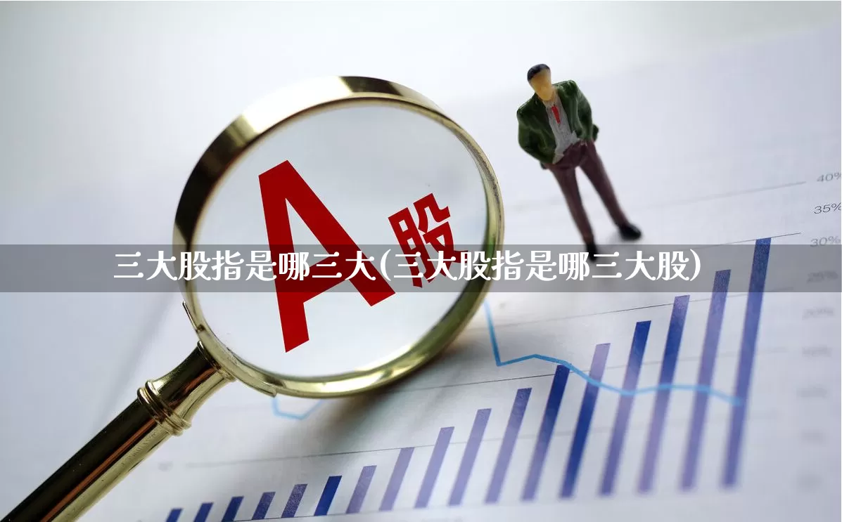 三大股指是哪三大(三大股指是哪三大股)_https://www.xzdzcjn.com_创业板_第1张