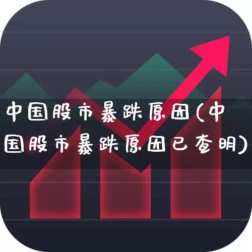 中国股市暴跌原因(中国股市暴跌原因已查明)_https://www.xzdzcjn.com_深交所_第1张