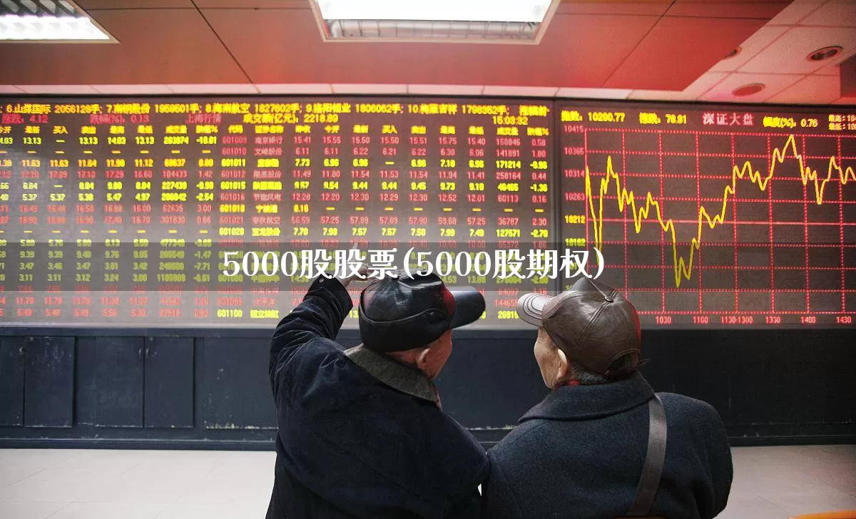 5000股股票(5000股期权)_https://www.xzdzcjn.com_上交所_第1张